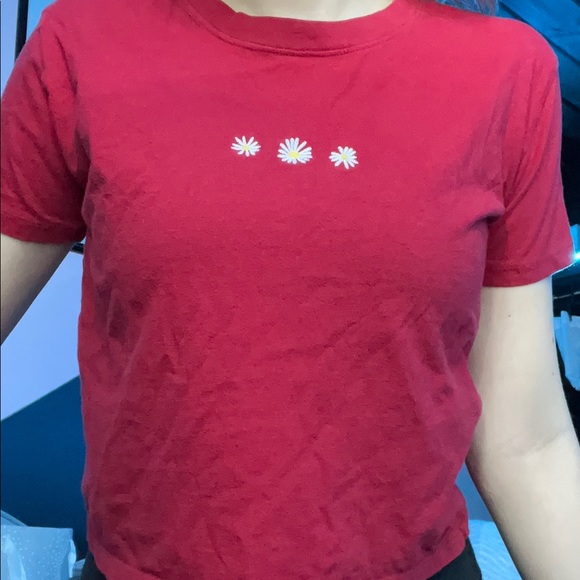 Hollister Must Have Collection - Picture 5 of 5